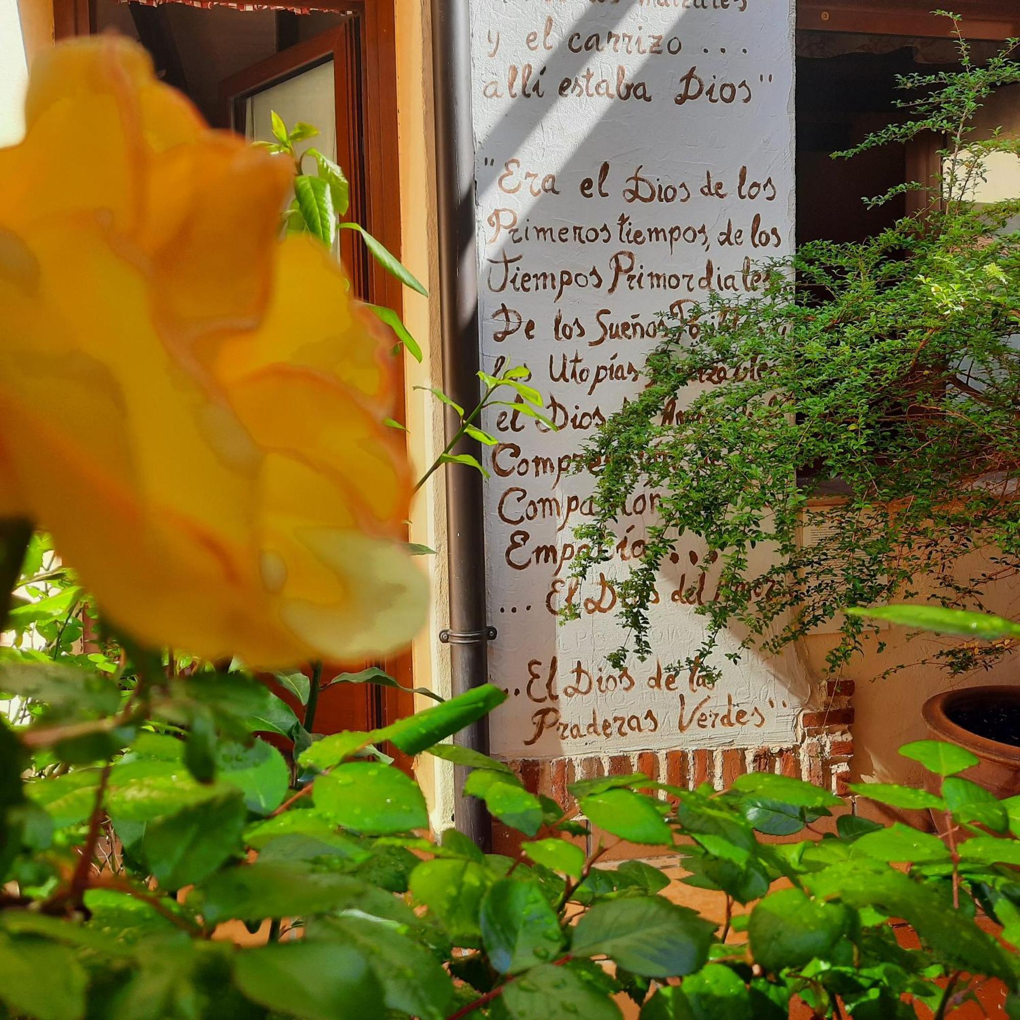 Beautiful Alamedas - Una Casa Rural Con Una Historia Unica Castronuno ภายนอก รูปภาพ