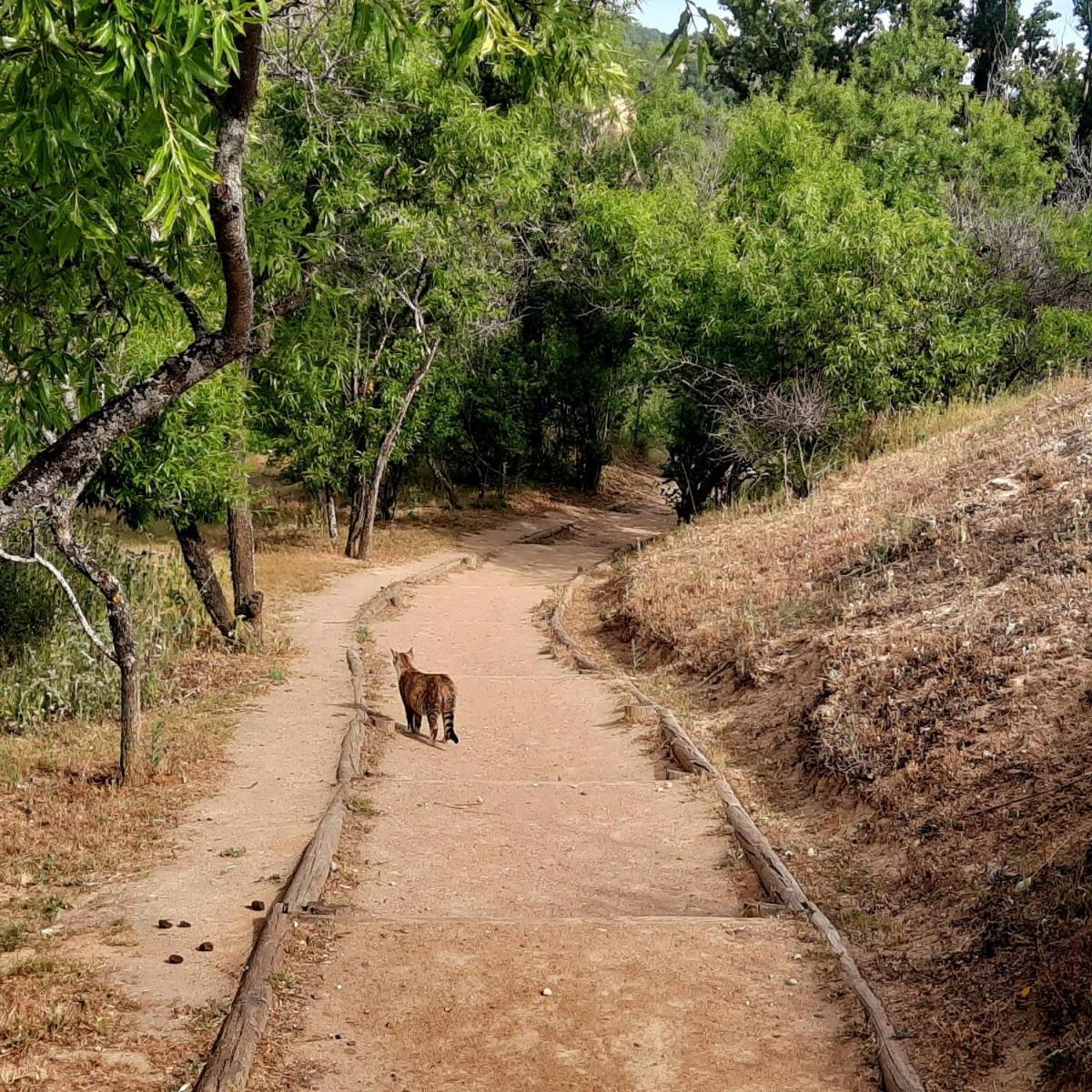 Beautiful Alamedas - Una Casa Rural Con Una Historia Unica Castronuno ภายนอก รูปภาพ